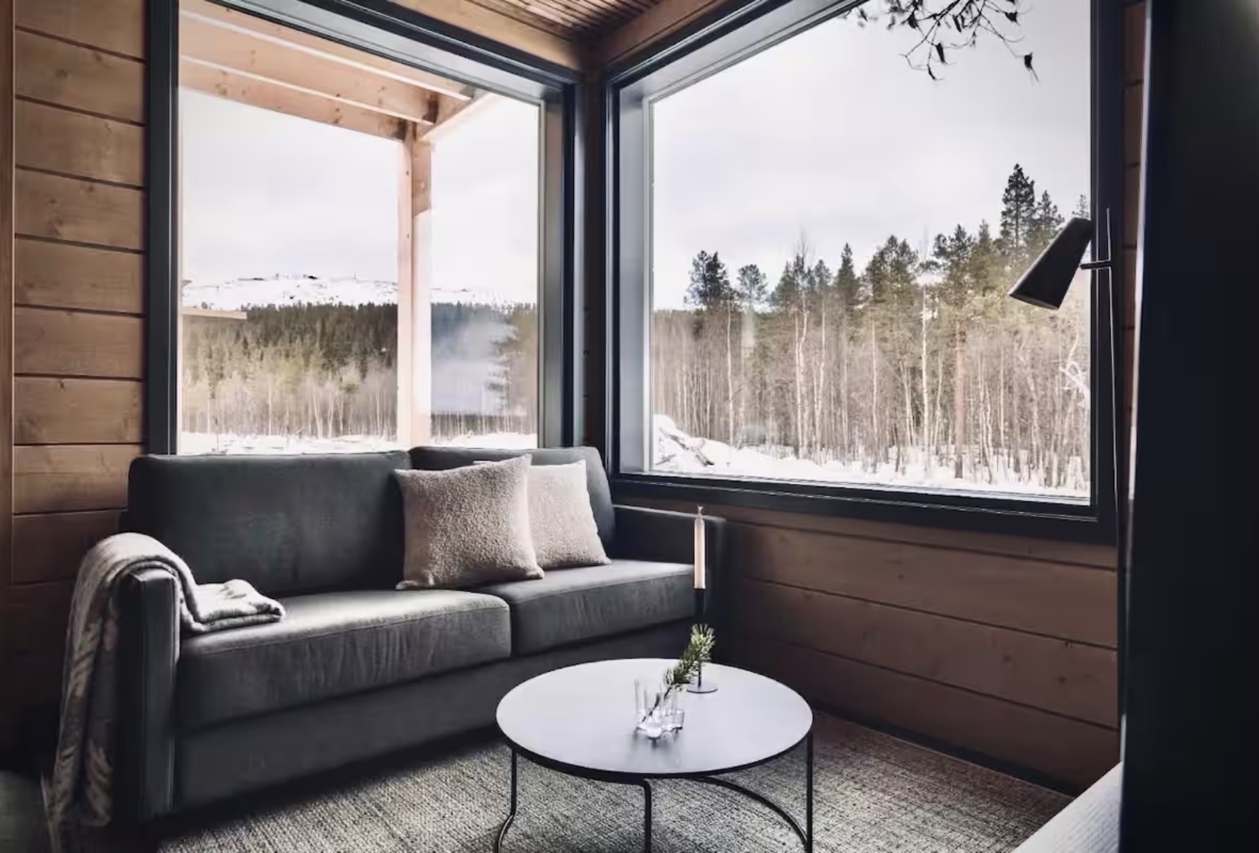 Levin Lyhty living room overlooking the forest